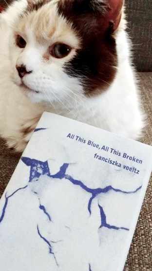 IMG_20180426_143259143